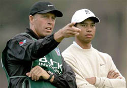 Tiger and Stevie