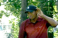 Tiger Woods