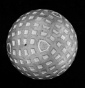 Dimpled Golf Ball