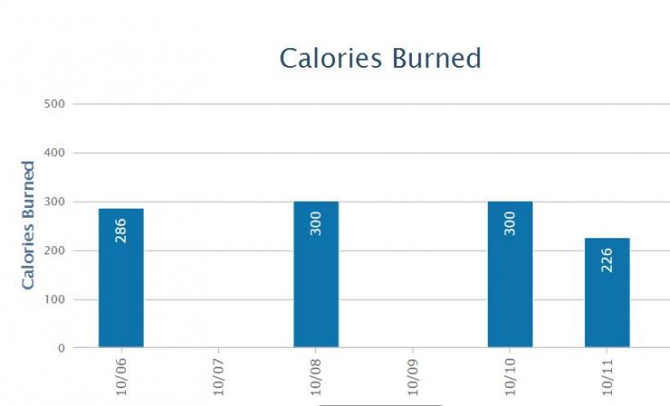 Calories_Burned.thumb.JPG.84cfb71d992c3e