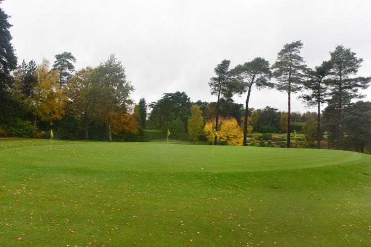 DSC_1342.thumb.JPG.f884752f502c4ed0b382b