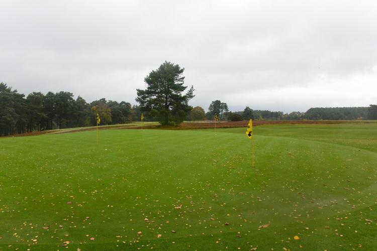 DSC_1343.thumb.JPG.33857582480f86c2a5188