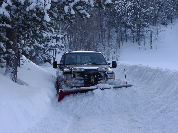 PC210006.thumb.JPG.324736566968c5cb8b72c