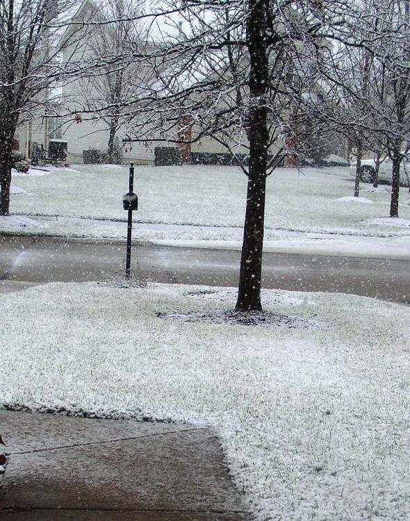 Snow.thumb.JPG.8285f189c823837f1e4ab4b9a