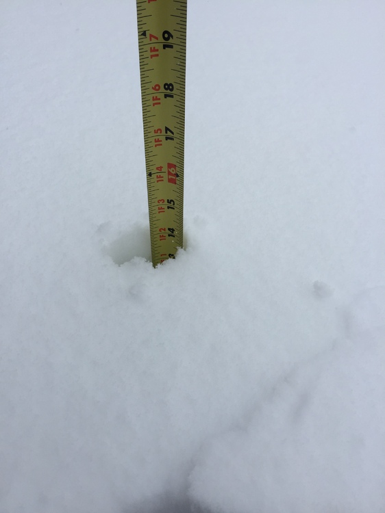 IMG_1527.thumb.JPG.929475574fba531d952e5