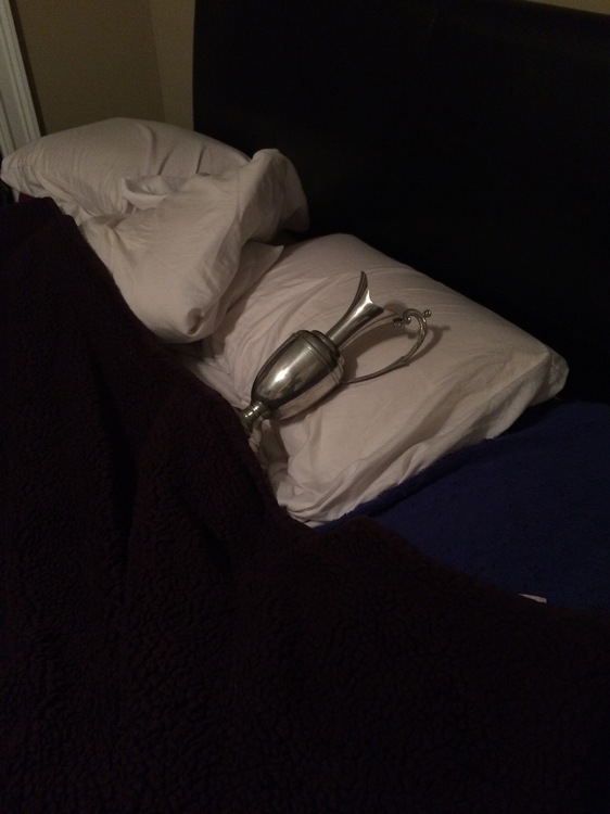 IMG_2429.thumb.JPG.8b20af8346a4b99057a34