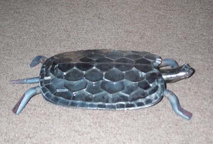 Turtle.JPG