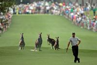 Australia Golf