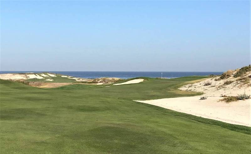 Cypress 12 green.JPG