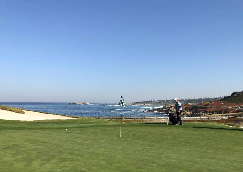 13 green Cypress.JPG