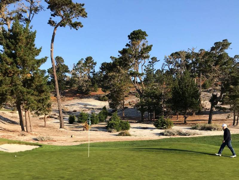 Cypress 7 green.JPG