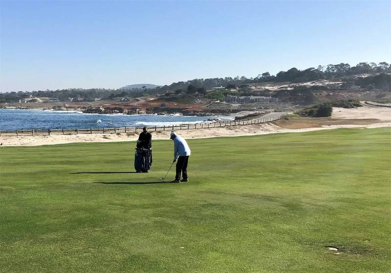 Cypress 14 Bruce.JPG