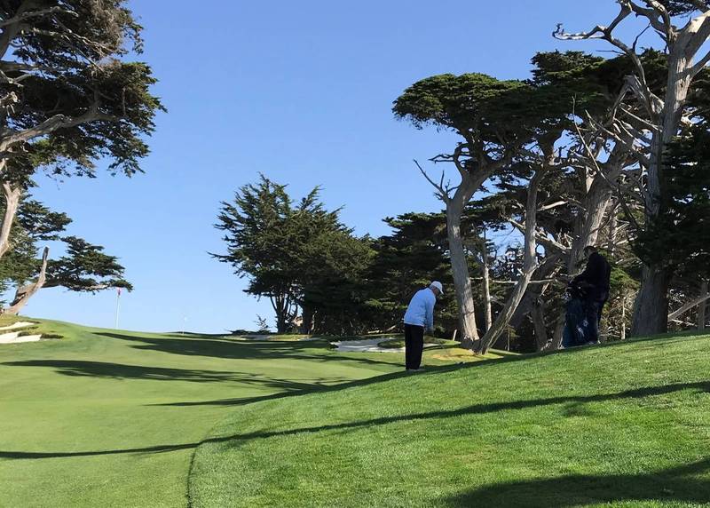 Cypress 18 Bruce.JPG