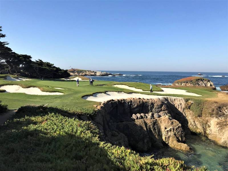 Cypress 15 green.JPG