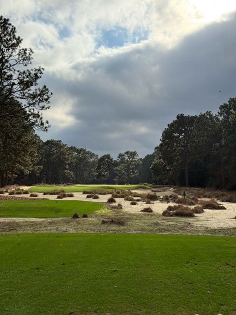 Pine Needles, Hole 16