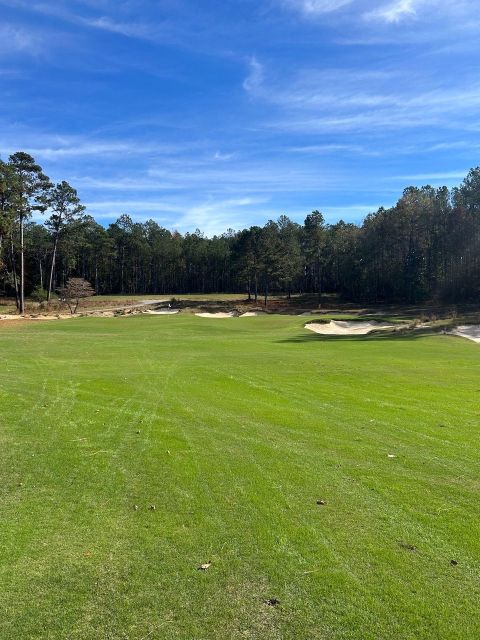 Southern Pines 6