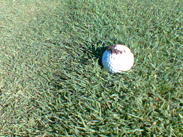 Ball stuck in its own pitch mark - Rules of Golf - The Sand Trap .com